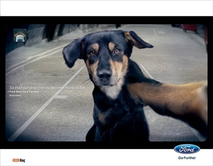 Ford Rear View Camera Pet Campaign