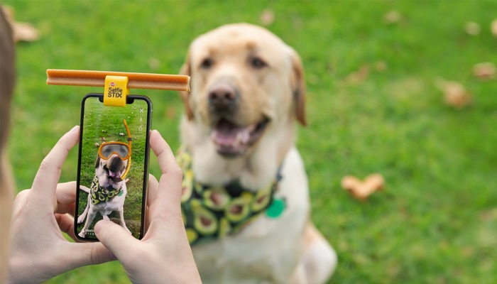 Dog owner using Pedigree selfie stick to take photo of their dog